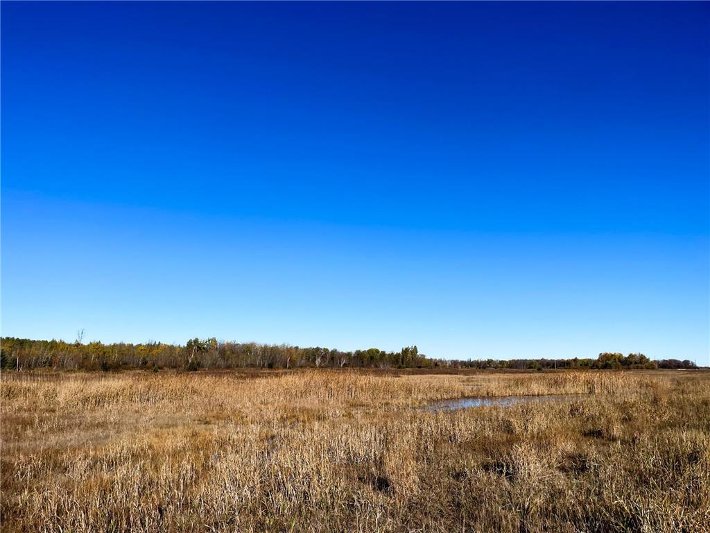 TBD 380th Street New Maine Twp MN 56738 6808878 image33