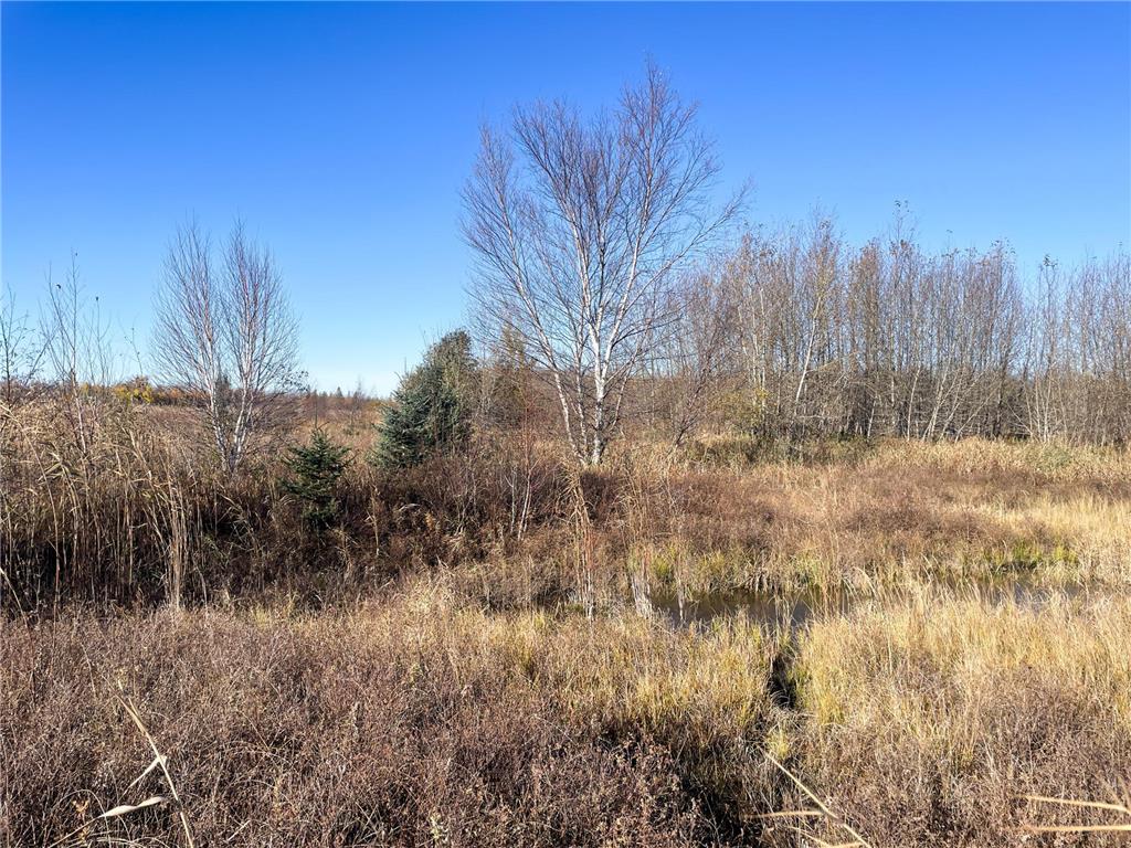 TBD 380th Street New Maine Twp MN 56738 6808878 image39
