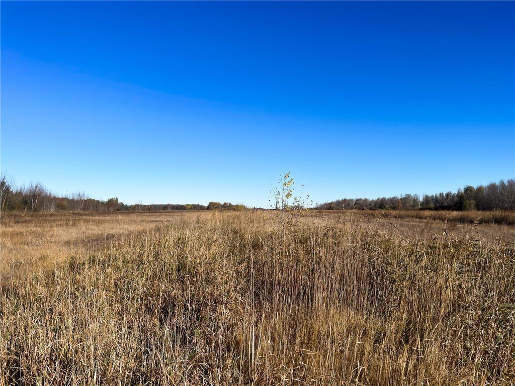 TBD 380th Street New Maine Twp MN 56738 6808878 image40