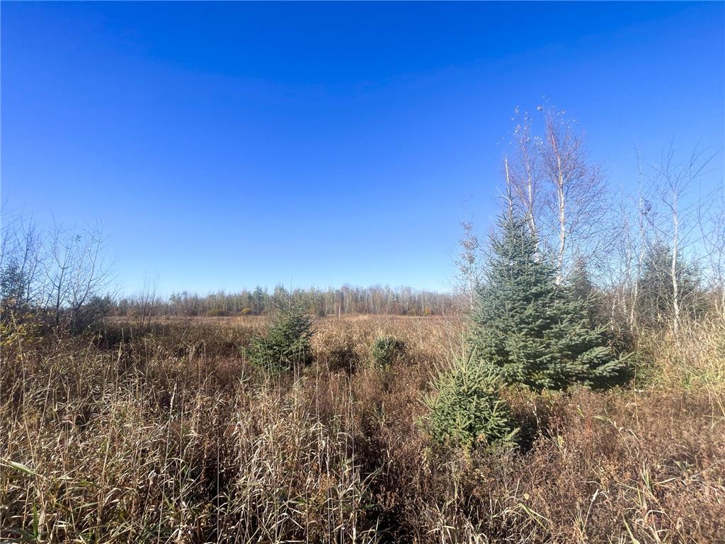 TBD 380th Street New Maine Twp MN 56738 6808878 image41