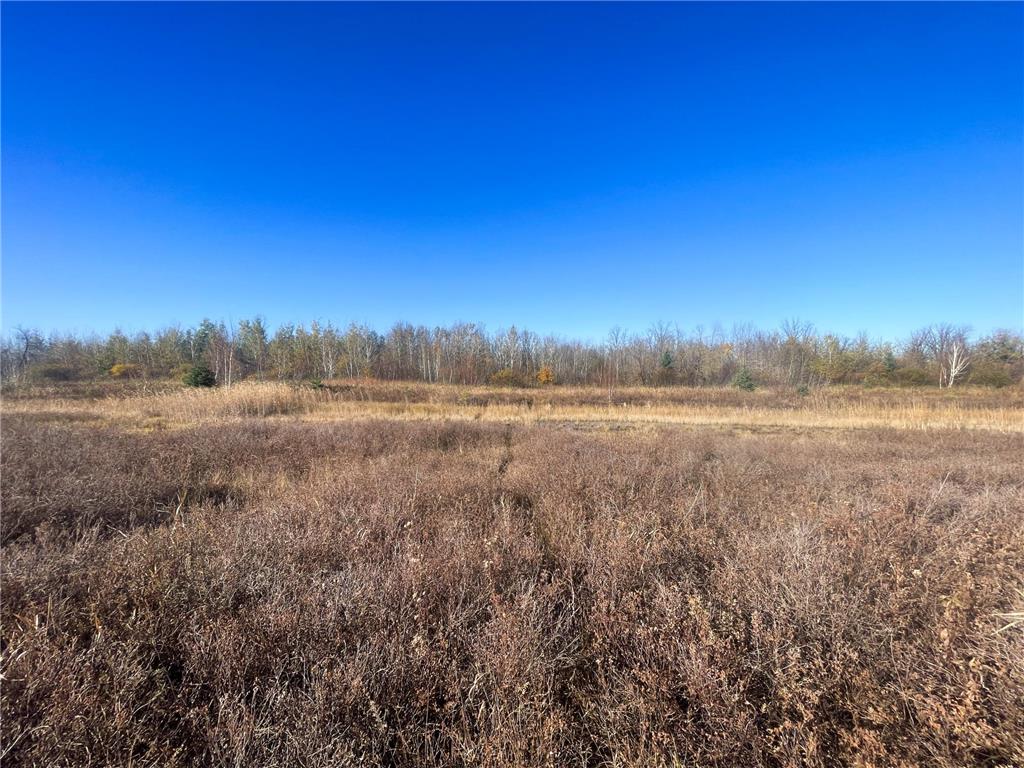 TBD 380th Street New Maine Twp MN 56738 6808878 image42