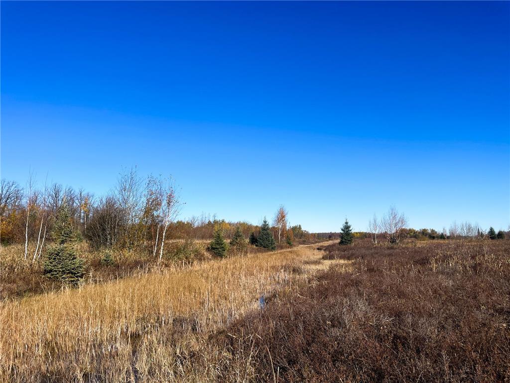 TBD 380th Street New Maine Twp MN 56738 6808878 image43