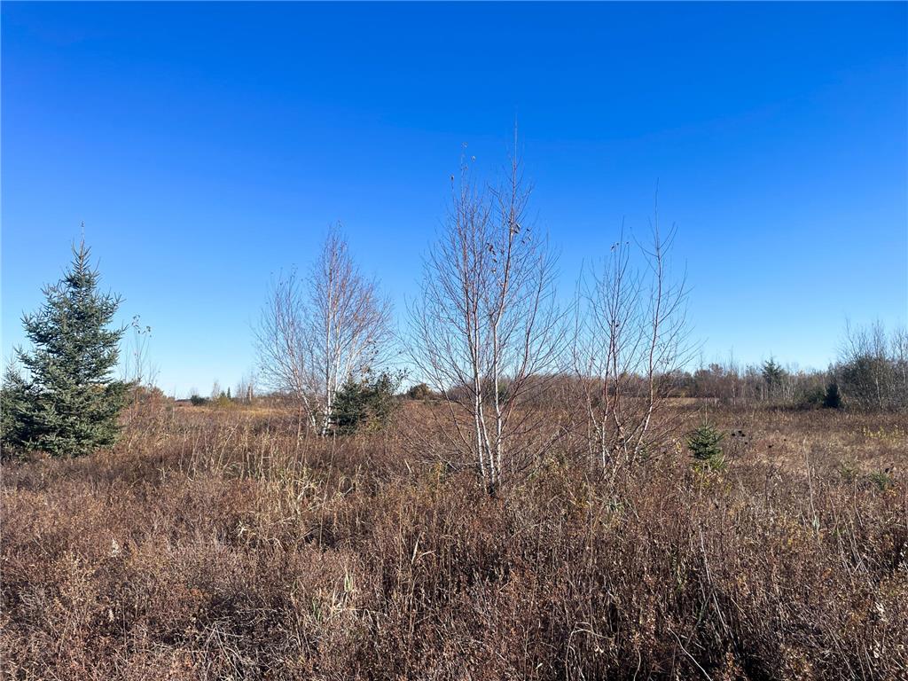 TBD 380th Street New Maine Twp MN 56738 6808878 image44