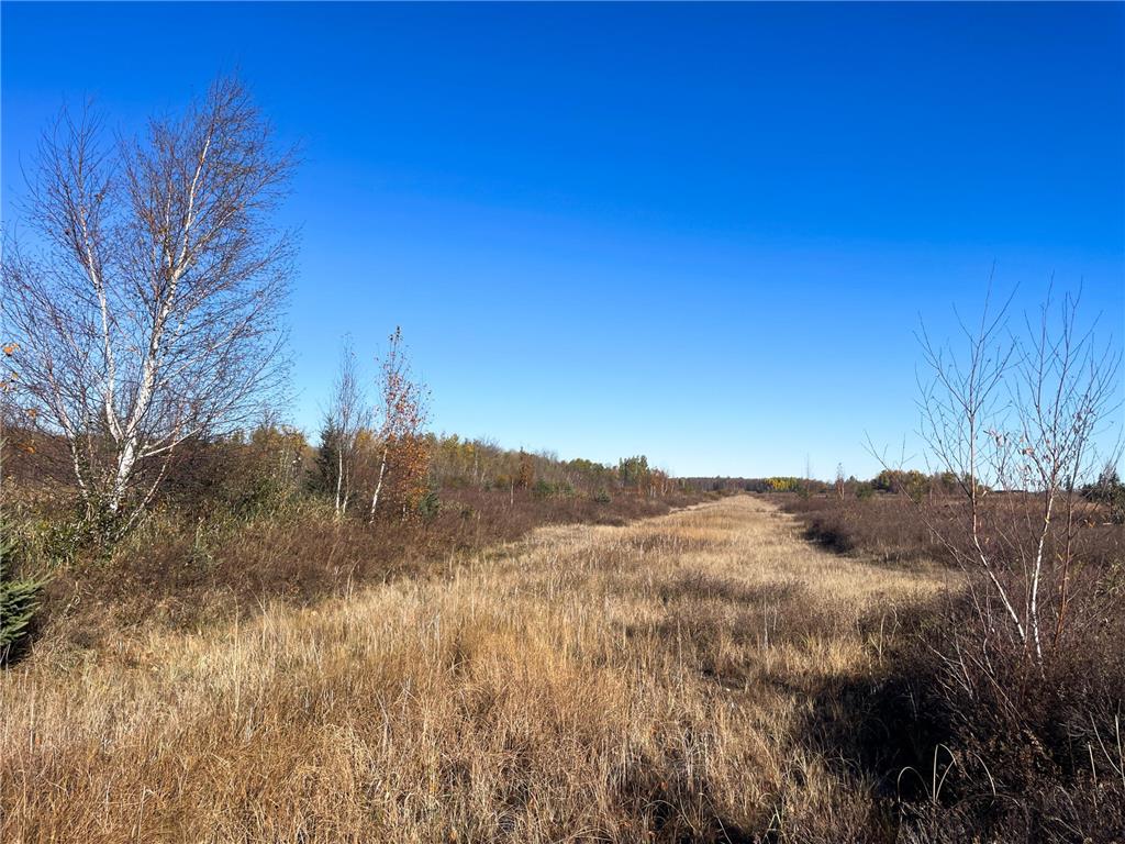 TBD 380th Street New Maine Twp MN 56738 6808878 image45