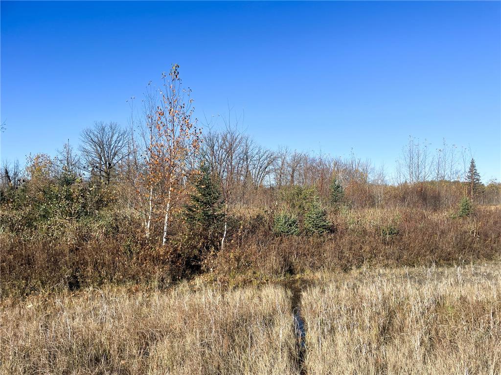TBD 380th Street New Maine Twp MN 56738 6808878 image46