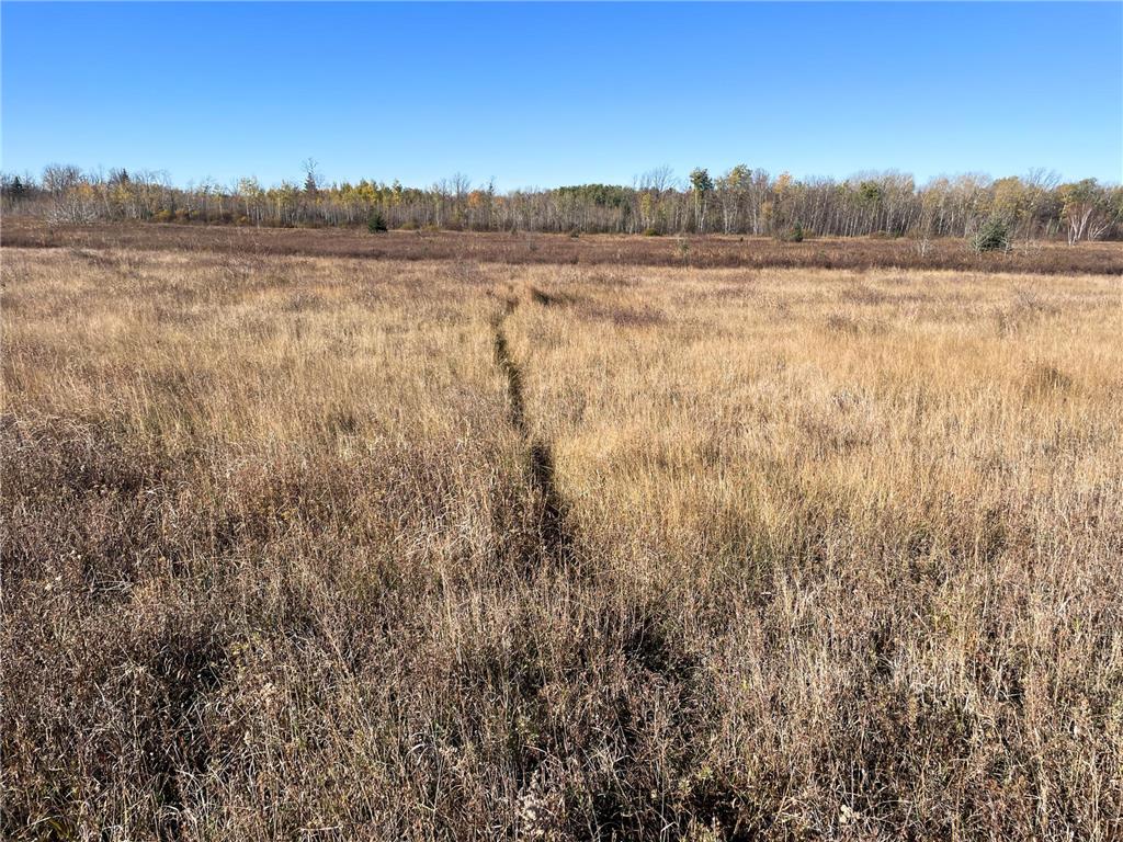 TBD 380th Street New Maine Twp MN 56738 6808878 image48