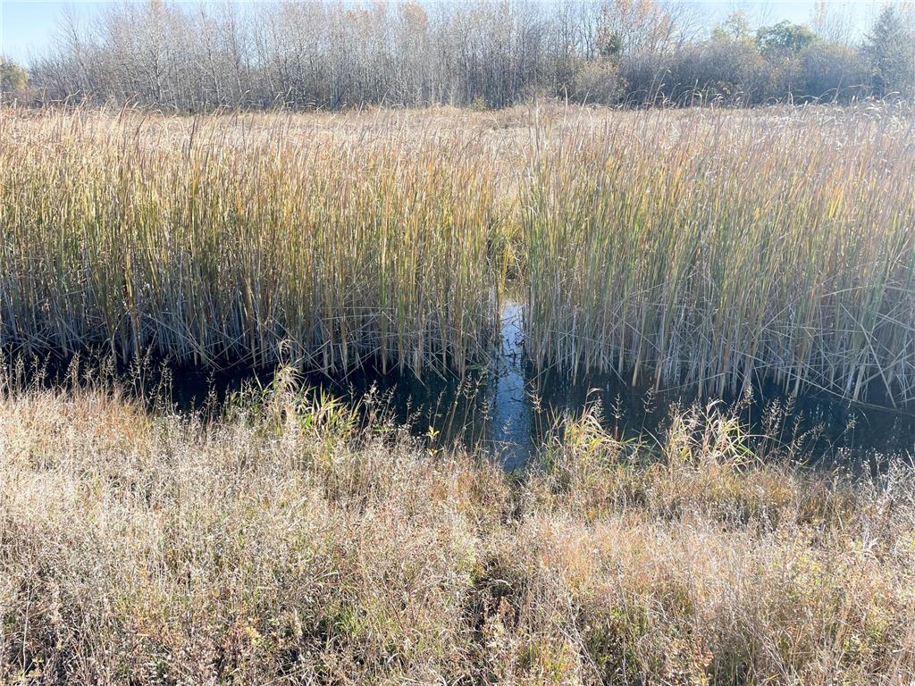 TBD 380th Street New Maine Twp MN 56738 6808878 image49