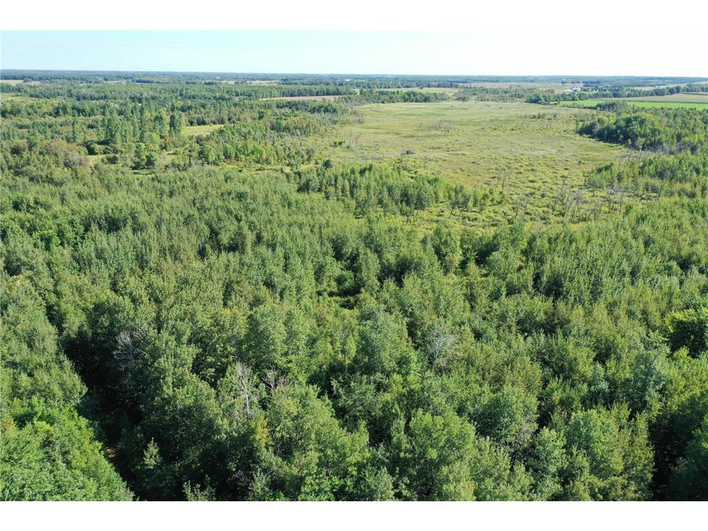 TBD 385th Street New York Mills MN 56567 6778957 image1