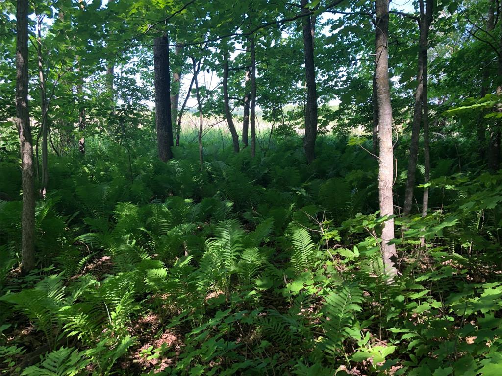 TBD 388th St Onamia MN 56359 - Mille Lacs Lake 7070001 image10