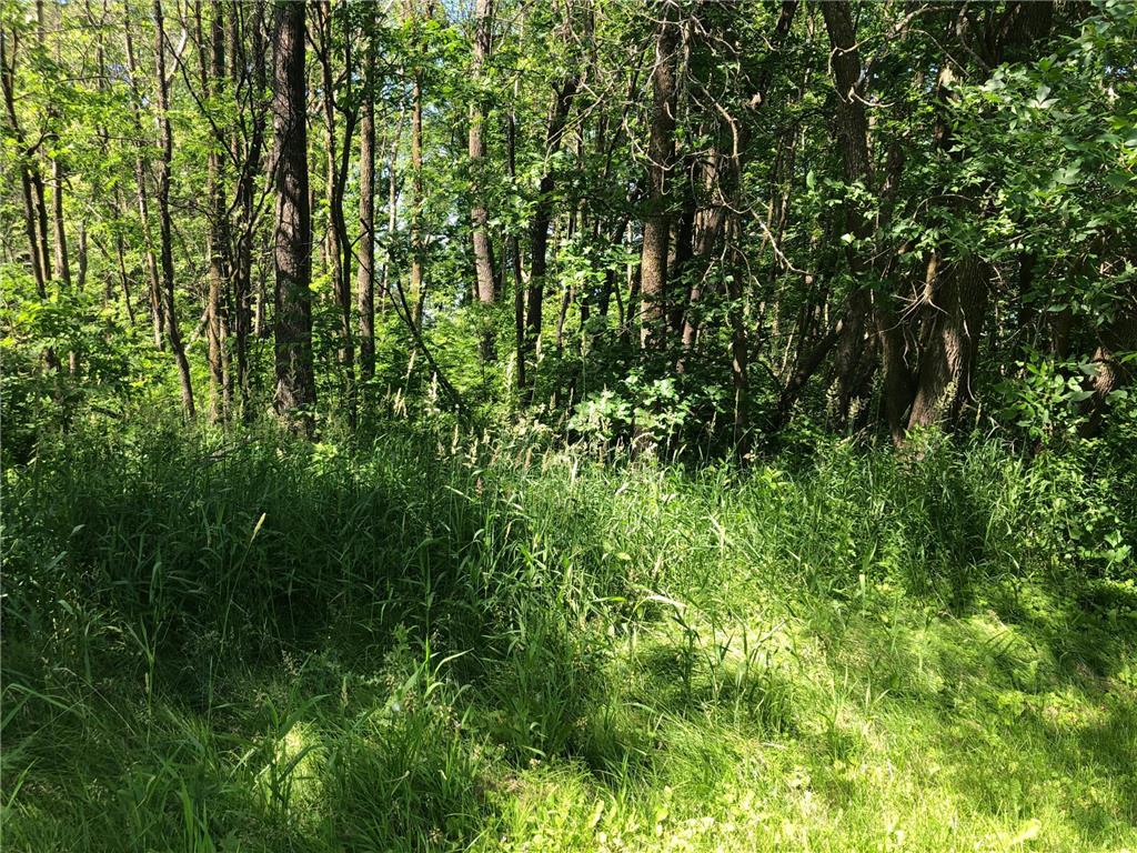TBD 388th St Onamia MN 56359 - Mille Lacs Lake 7070001 image11