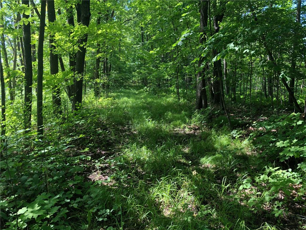 TBD 388th St Onamia MN 56359 - Mille Lacs Lake 7070001 image12