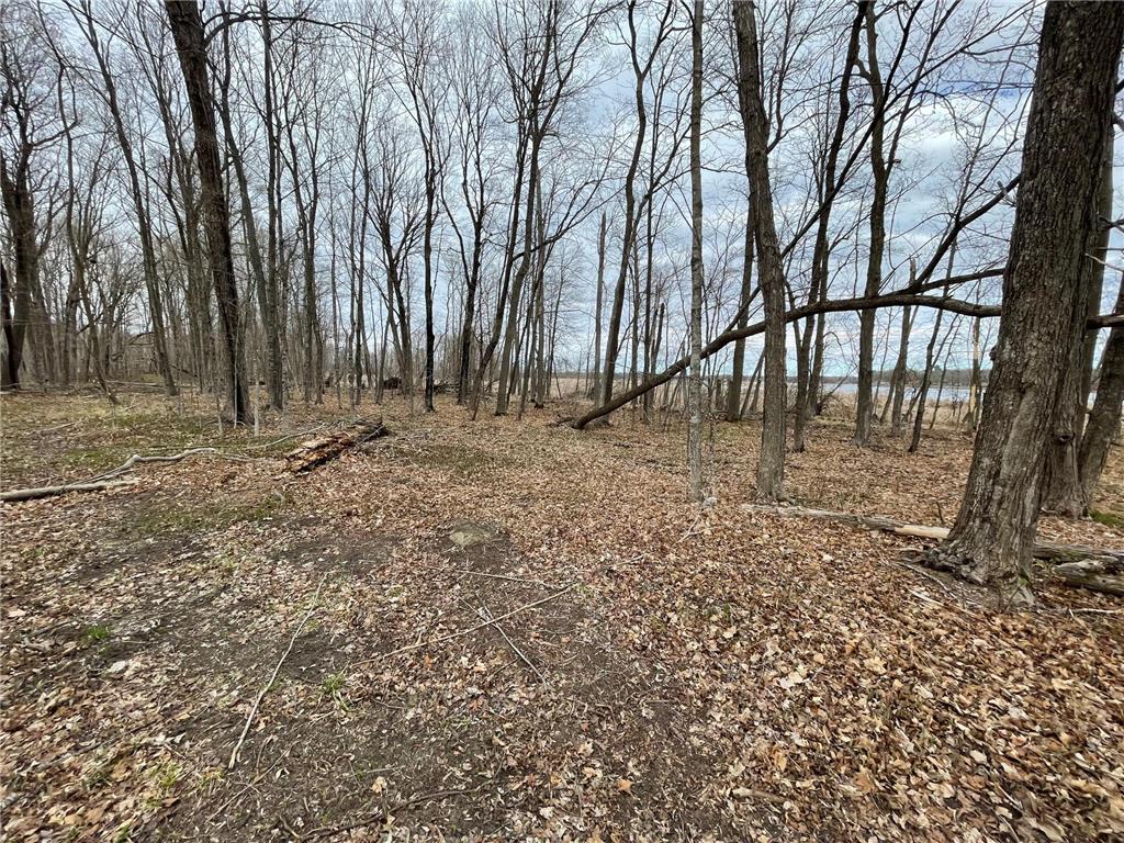TBD 388th St Onamia MN 56359 - Mille Lacs Lake 7070001 image51
