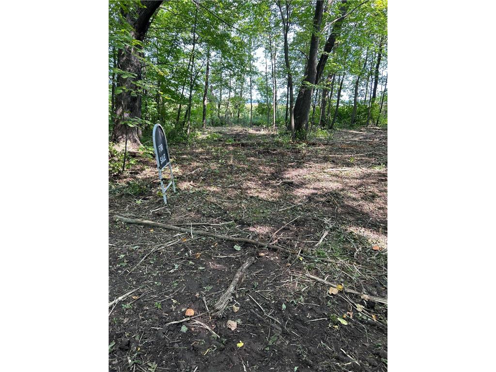 TBD 388th St Onamia MN 56359 - Mille Lacs Lake 7070001 image9