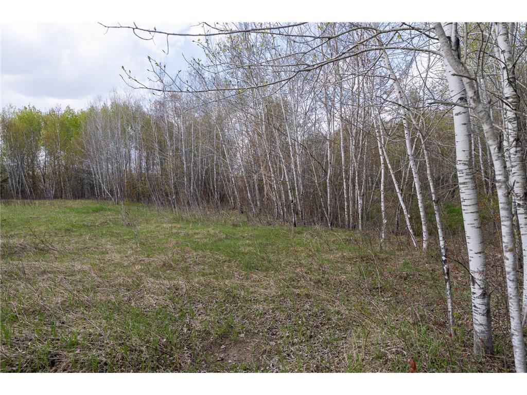 TBD-38AC 465th Street Sunrise Twp MN 55032 7081097 image11