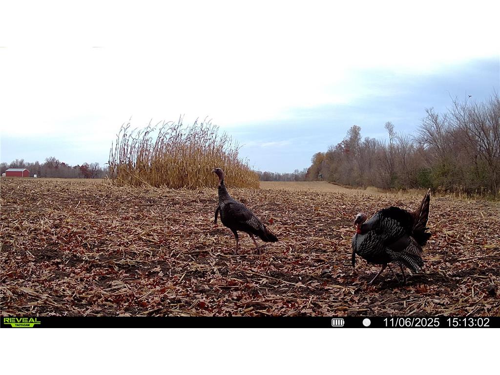 TBD-38AC 465th Street Sunrise Twp MN 55032 7081097 image14