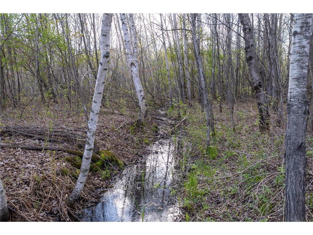 TBD-38AC 465th Street Sunrise Twp MN 55032 7081097 image20