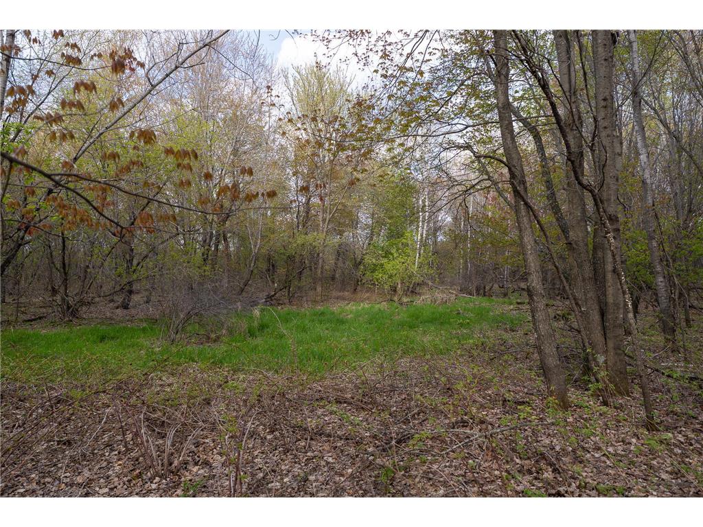 TBD-38AC 465th Street Sunrise Twp MN 55032 7081097 image22