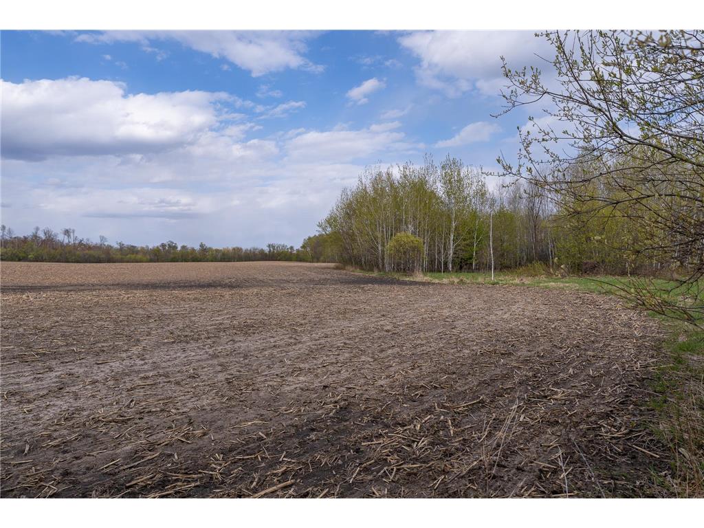 TBD-38AC 465th Street Sunrise Twp MN 55032 7081097 image24