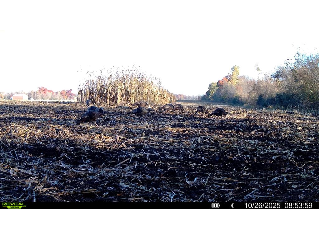 TBD-38AC 465th Street Sunrise Twp MN 55032 7081097 image26