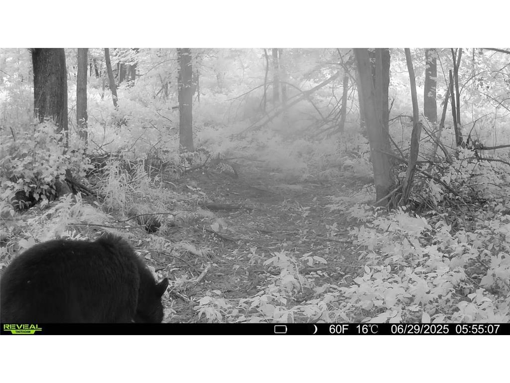 TBD-38AC 465th Street Sunrise Twp MN 55032 7081097 image28