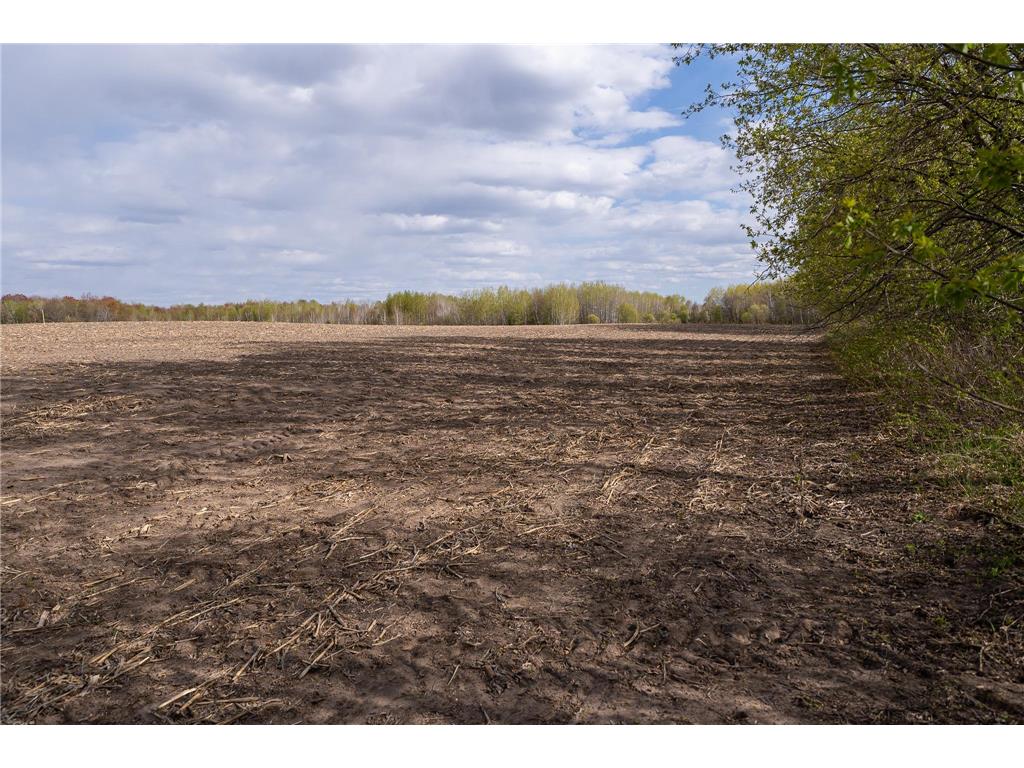 TBD-38AC 465th Street Sunrise Twp MN 55032 7081097 image32
