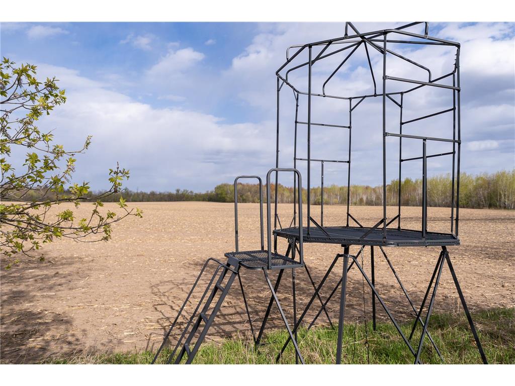 TBD-38AC 465th Street Sunrise Twp MN 55032 7081097 image38