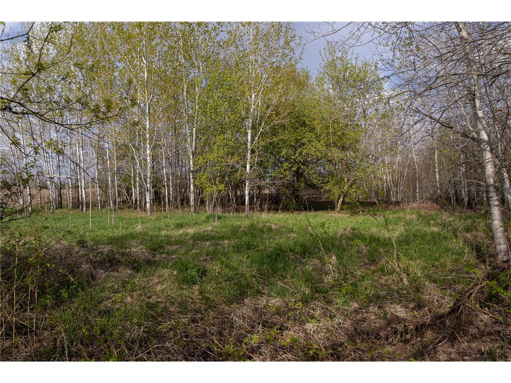 TBD-38AC 465th Street Sunrise Twp MN 55032 7081097 image39