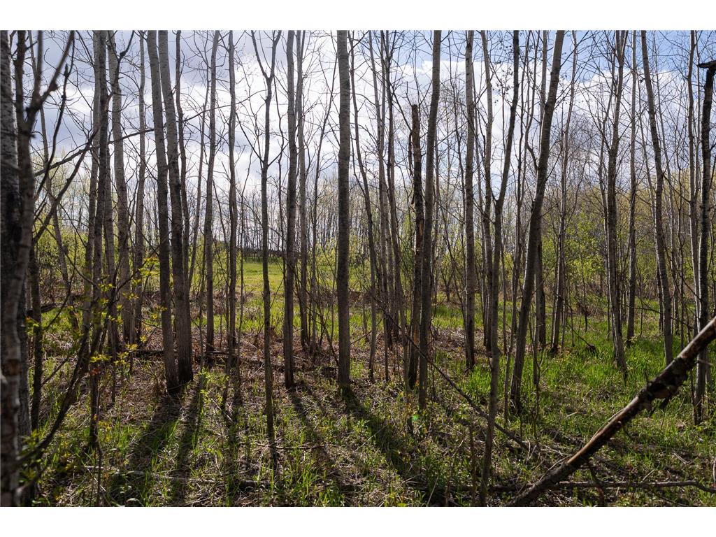 TBD-38AC 465th Street Sunrise Twp MN 55032 7081097 image42