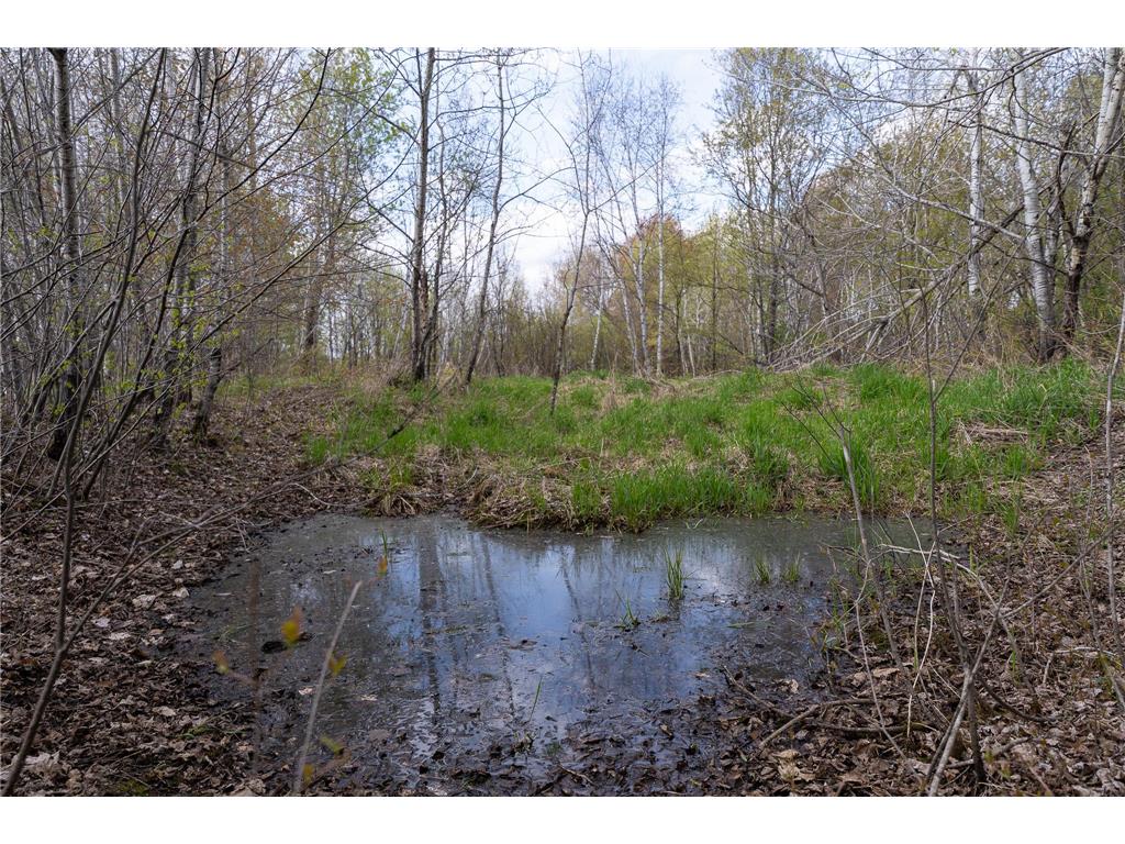 TBD-38AC 465th Street Sunrise Twp MN 55032 7081097 image45