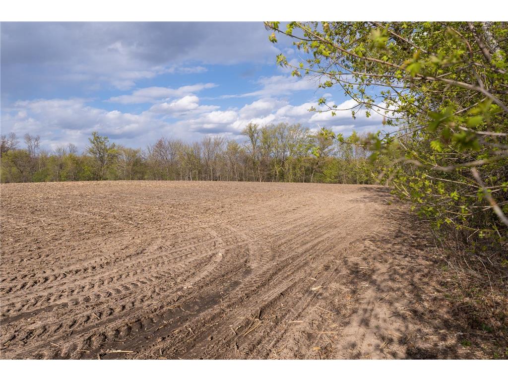 TBD-38AC 465th Street Sunrise Twp MN 55032 7081097 image46