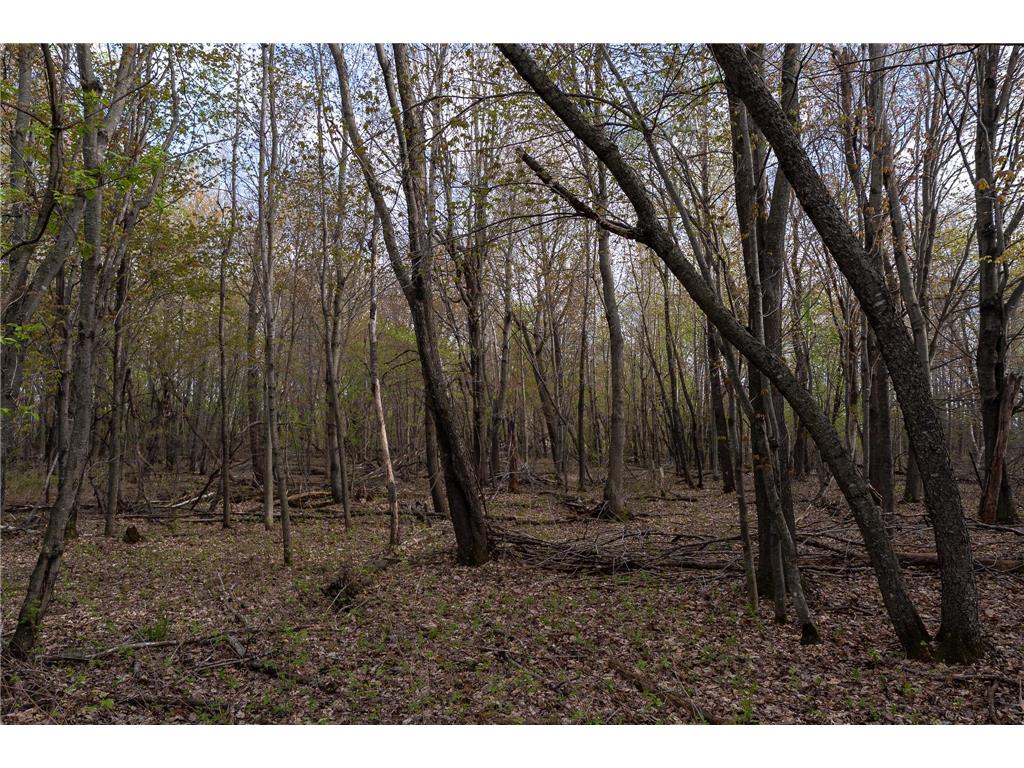 TBD-38AC 465th Street Sunrise Twp MN 55032 7081097 image47