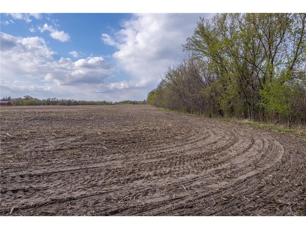 TBD-38AC 465th Street Sunrise Twp MN 55032 7081097 image49