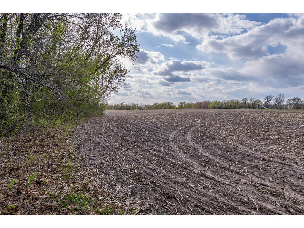 TBD-38AC 465th Street Sunrise Twp MN 55032 7081097 image51