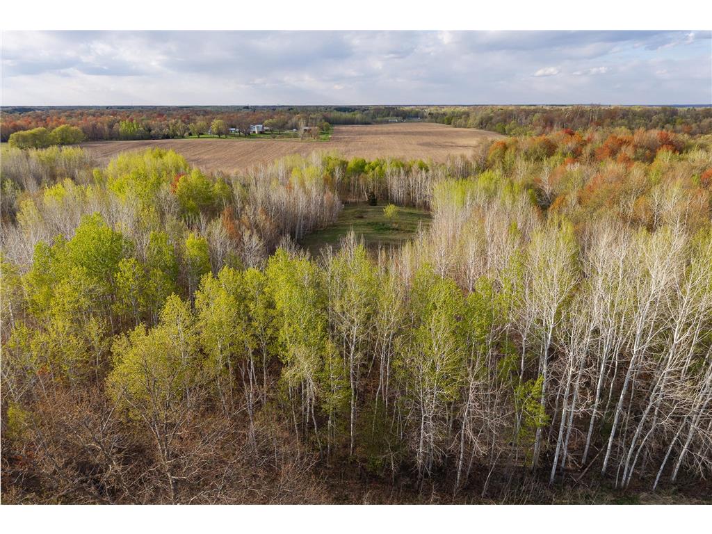 TBD-38AC 465th Street Sunrise Twp MN 55032 7081097 image8