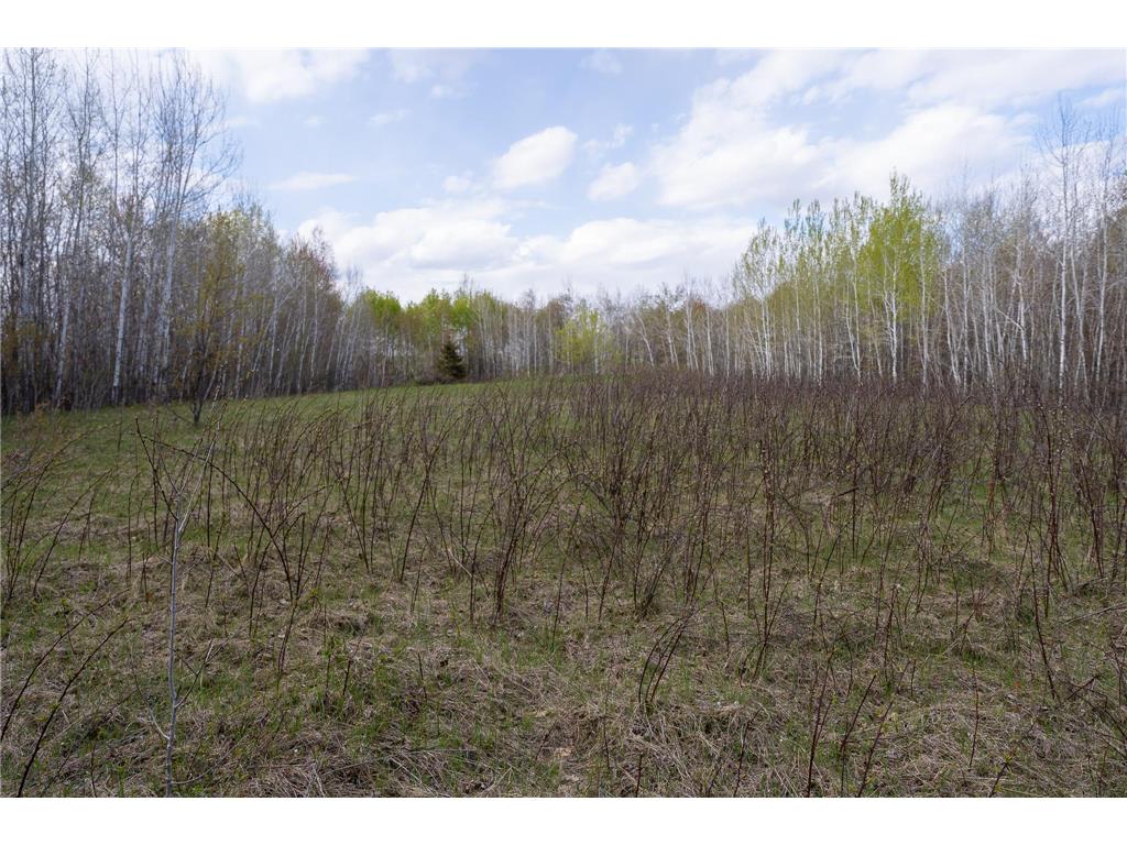 TBD-38AC 465th Street Sunrise Twp MN 55032 7081097 image9