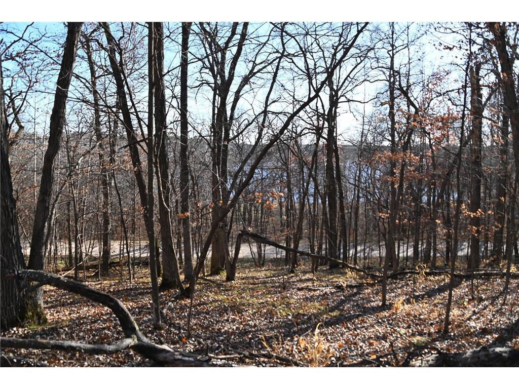 TBD 392 Street Fawn Lake Twp MN 56438 - Turtle Lake 7034470 image1