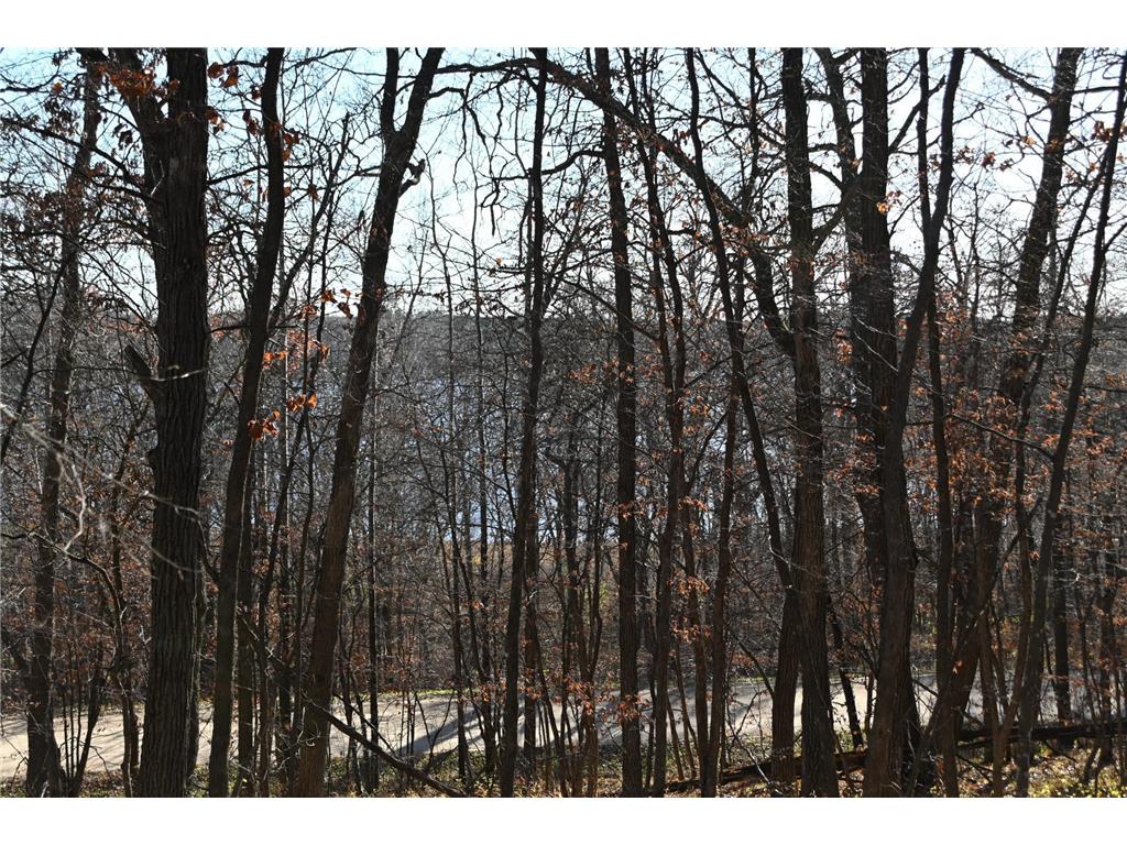 TBD 392 Street Fawn Lake Twp MN 56438 - Turtle Lake 7034470 image13