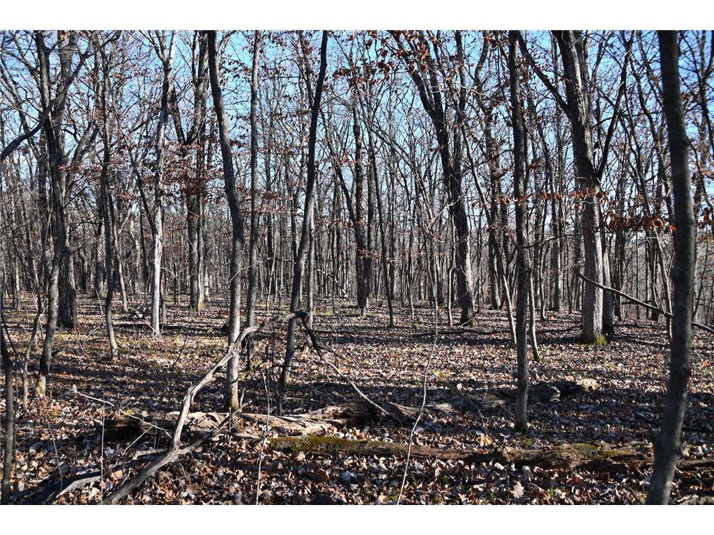 TBD 392 Street Fawn Lake Twp MN 56438 - Turtle Lake 7034470 image8