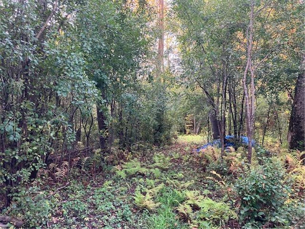 TBD 395th Street North Branch MN 55056 6790187 image12