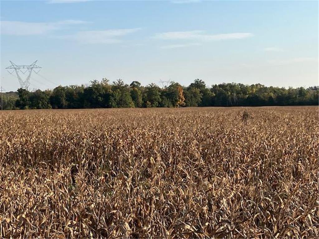 TBD 395th Street North Branch MN 55056 6790187 image13
