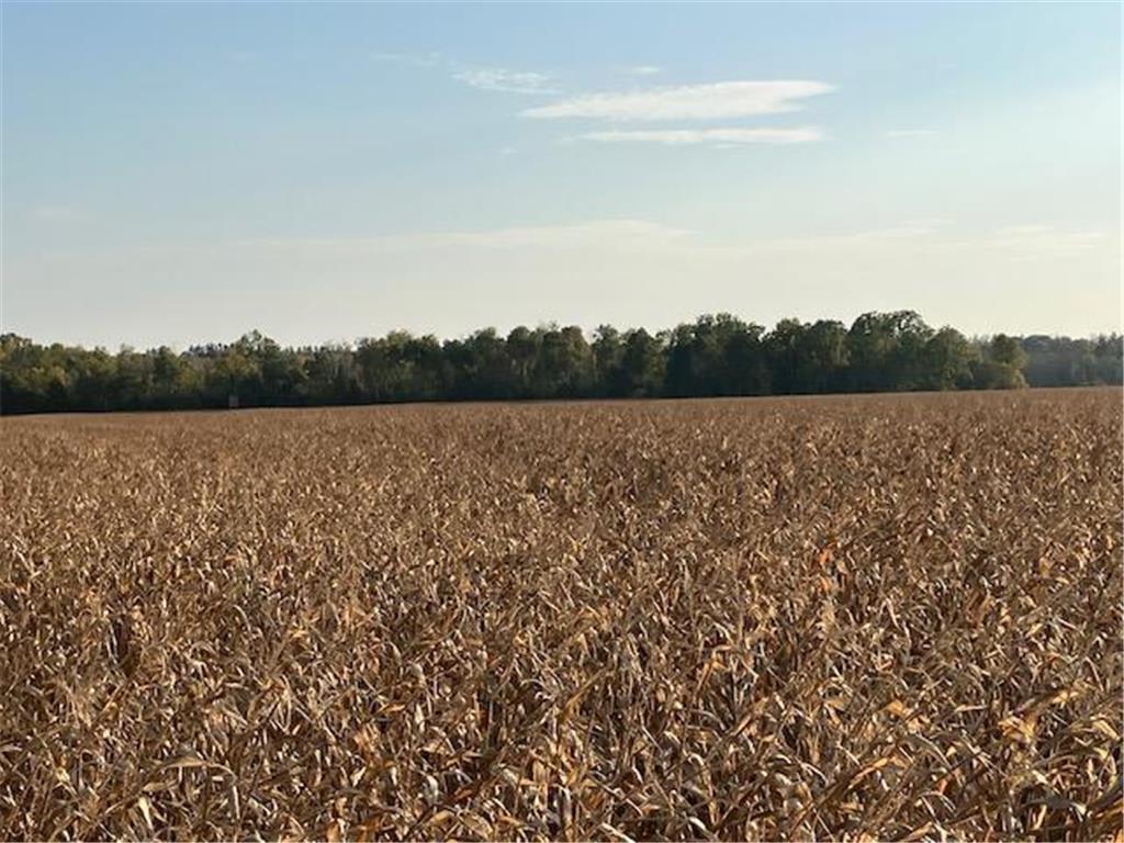 TBD 395th Street North Branch MN 55056 6790187 image14