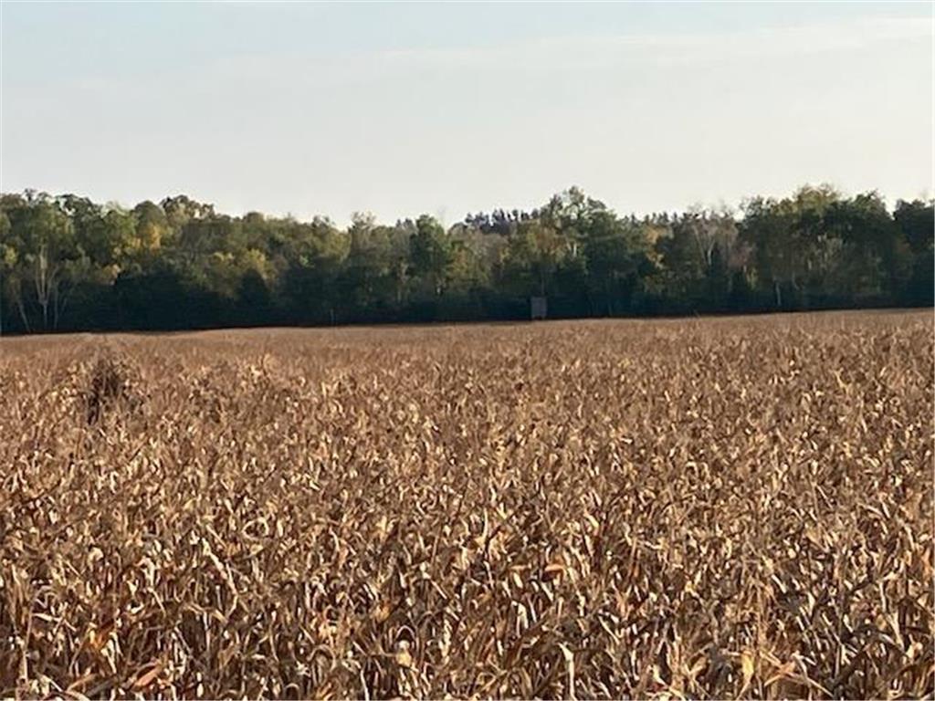 TBD 395th Street North Branch MN 55056 6790187 image15