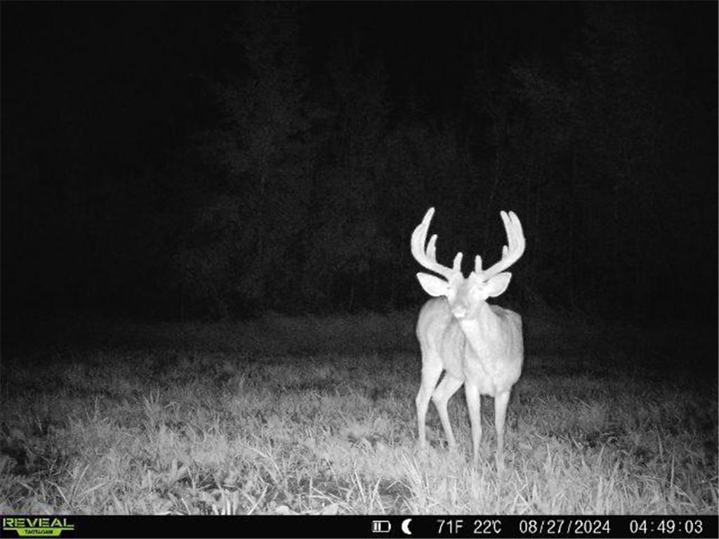 TBD 395th Street North Branch MN 55056 6790187 image17