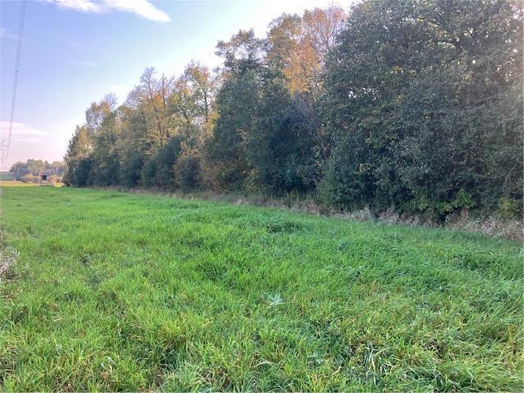 TBD 395th Street North Branch MN 55056 6790187 image5