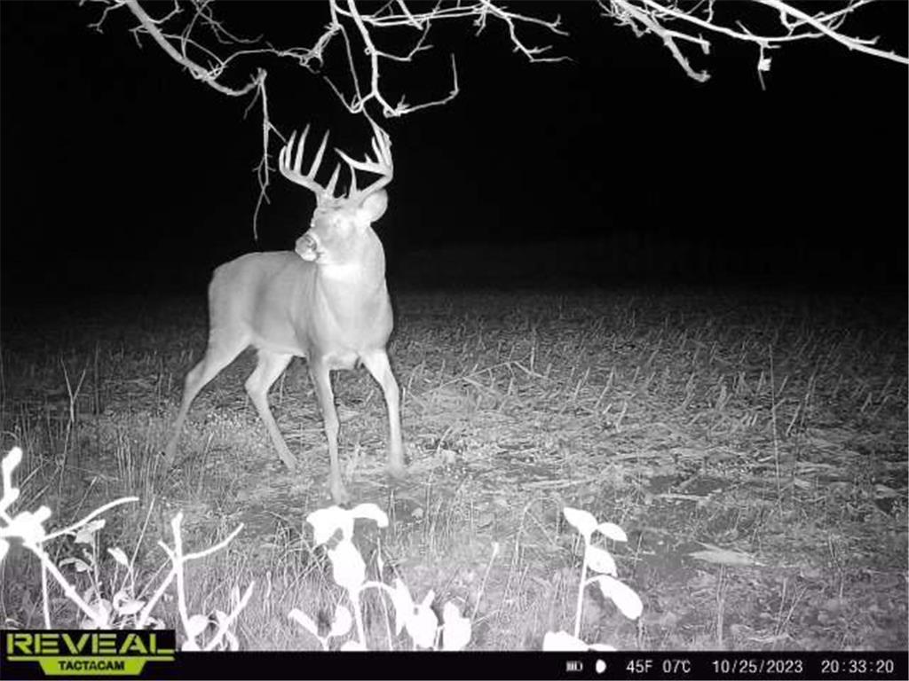 TBD 395th Street North Branch MN 55056 6790187 image6