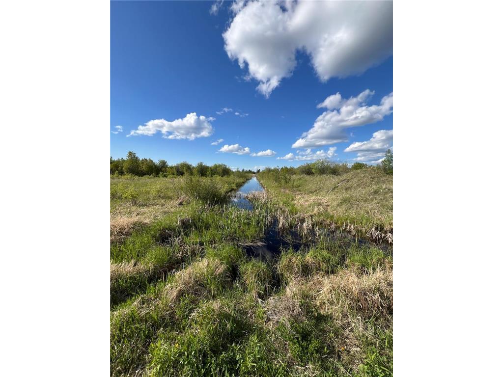 TBD 39th Street SE Baudette MN 56623 6727392 image1
