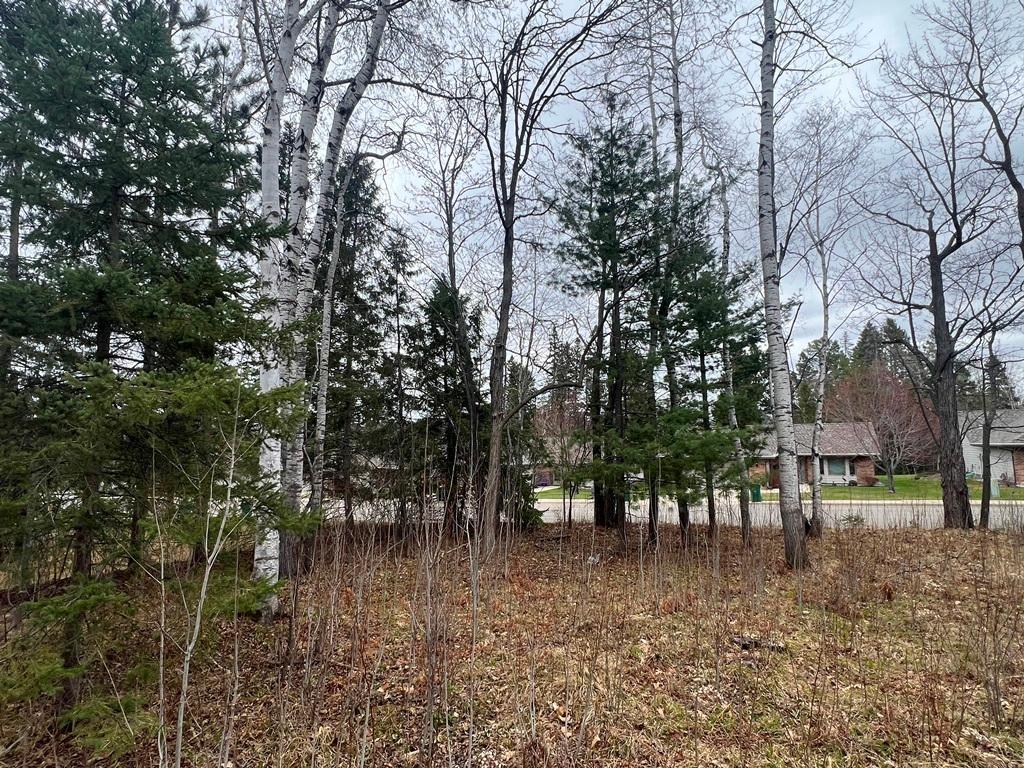 TBD 3rd Avenue SW Grand Rapids MN 55744 7068712 image1