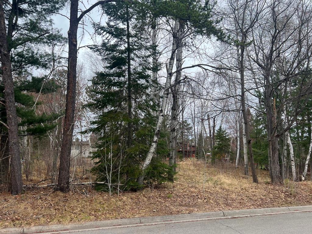 TBD 3rd Avenue SW Grand Rapids MN 55744 7068712 image2