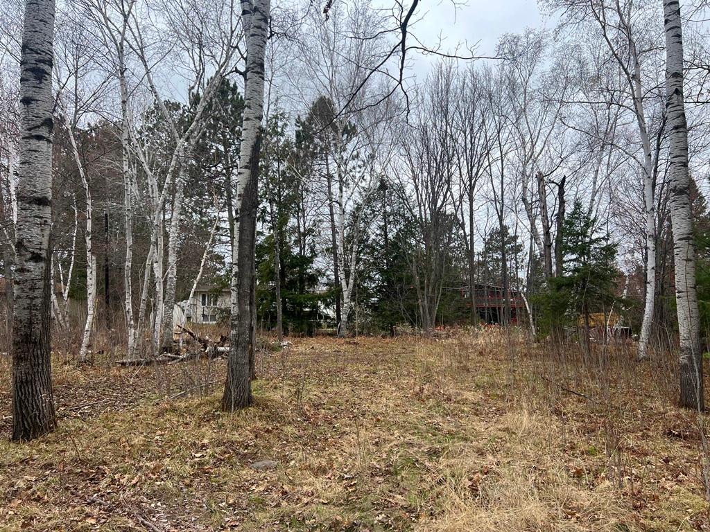 TBD 3rd Avenue SW Grand Rapids MN 55744 7068712 image3