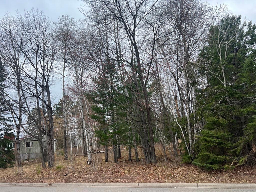 TBD 3rd Avenue SW Grand Rapids MN 55744 7068712 image4